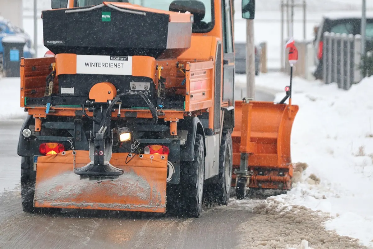 Three Elmwood Neighbors Making Winter Less Brutal: Snow, Soup, and Sidewalks